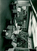 - Vintage Photograph