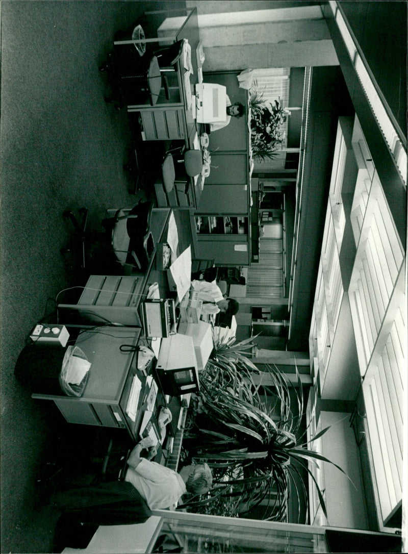 - Vintage Photograph