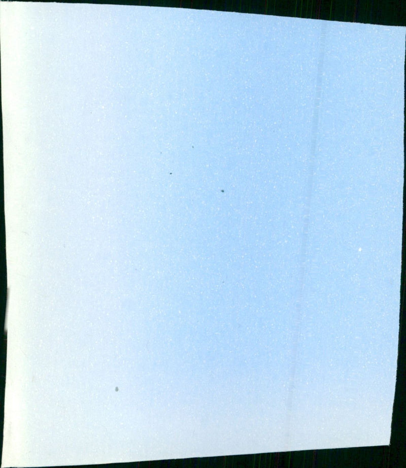 - Vintage Photograph