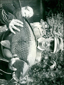 - Vintage Photograph