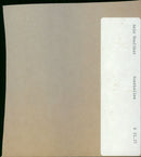 - Vintage Photograph