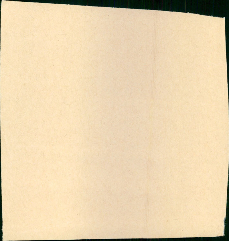 - Vintage Photograph