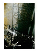 - Vintage Photograph