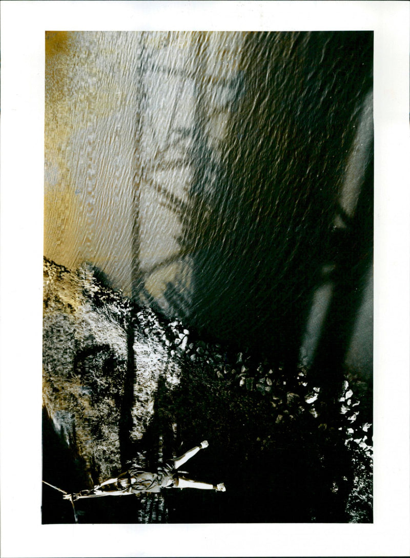 - Vintage Photograph