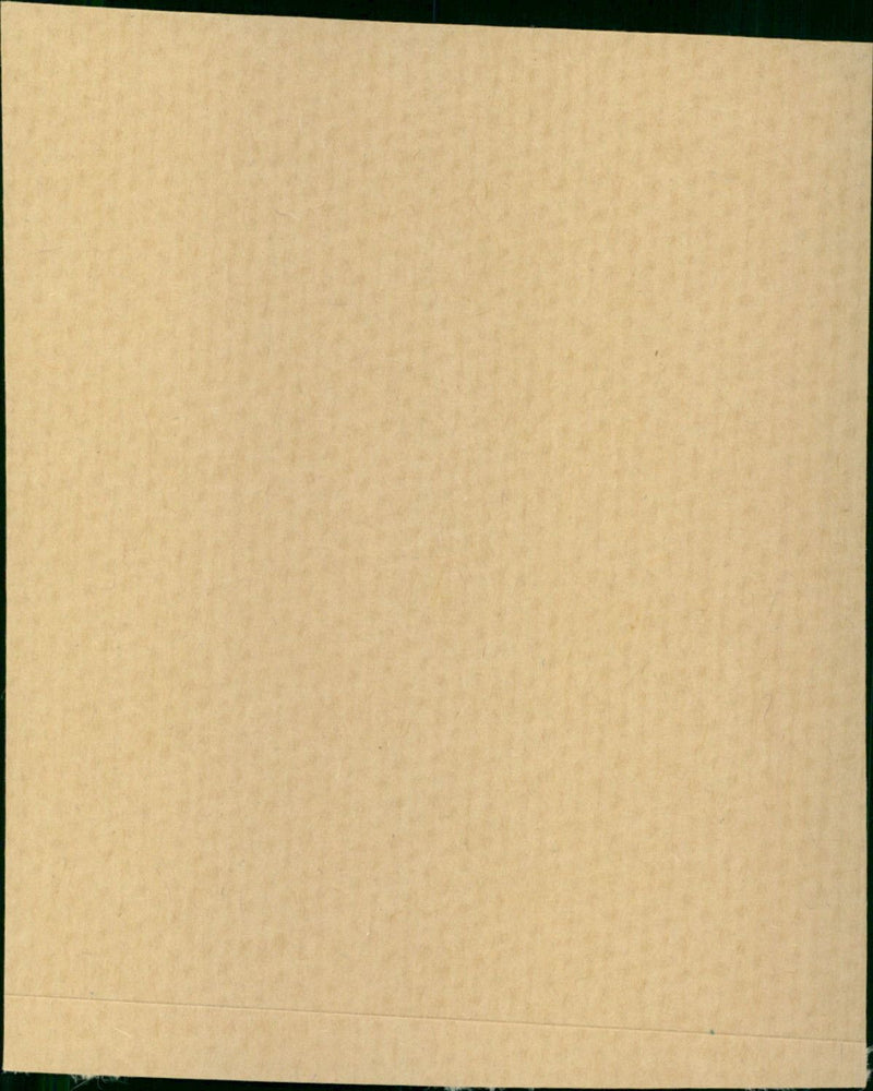 - Vintage Photograph