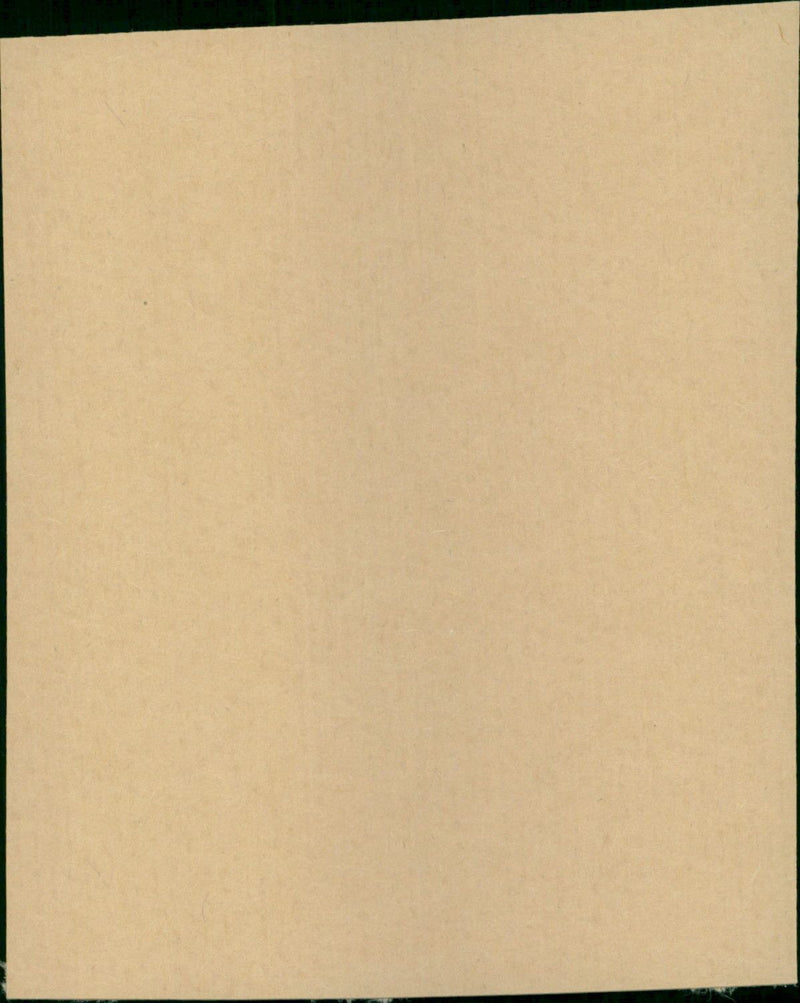 - Vintage Photograph