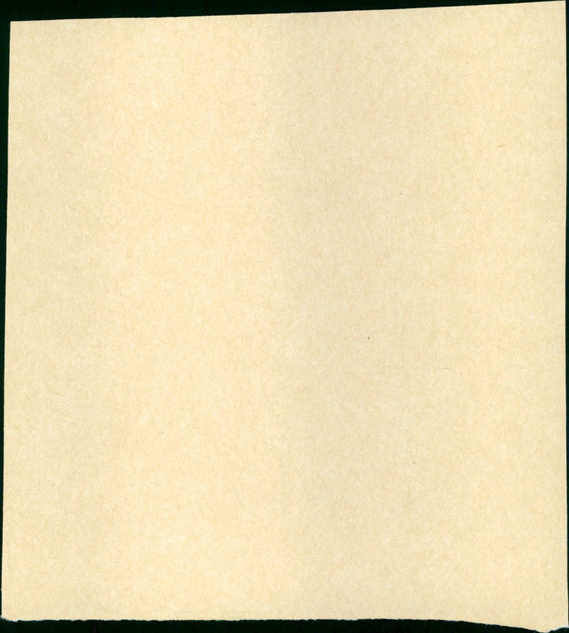 - Vintage Photograph