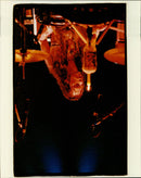 - Vintage Photograph