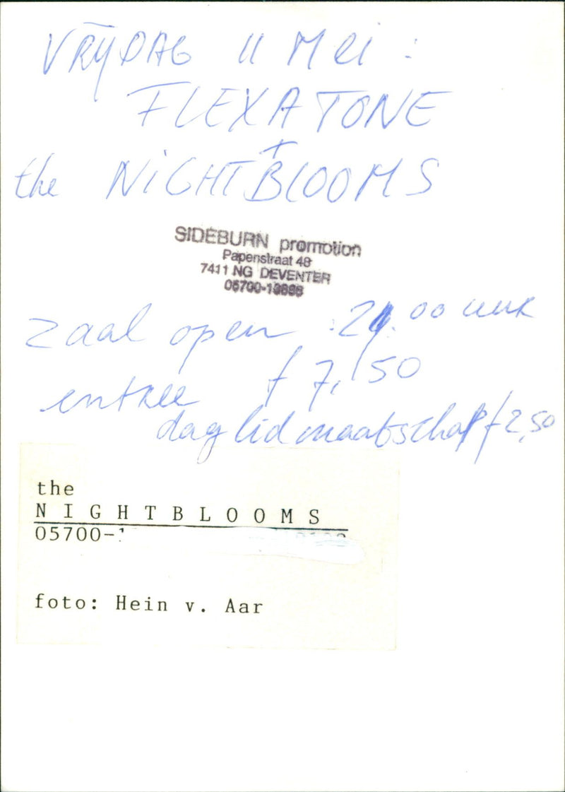 The Nightblooms - Vintage Photograph