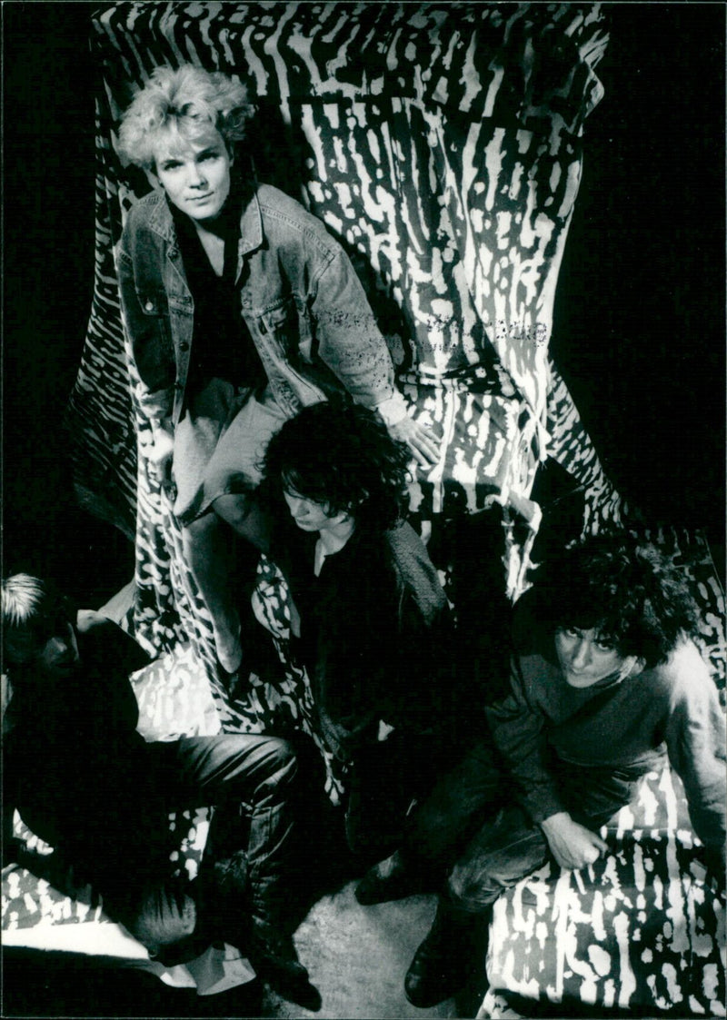 The Nightblooms - Vintage Photograph