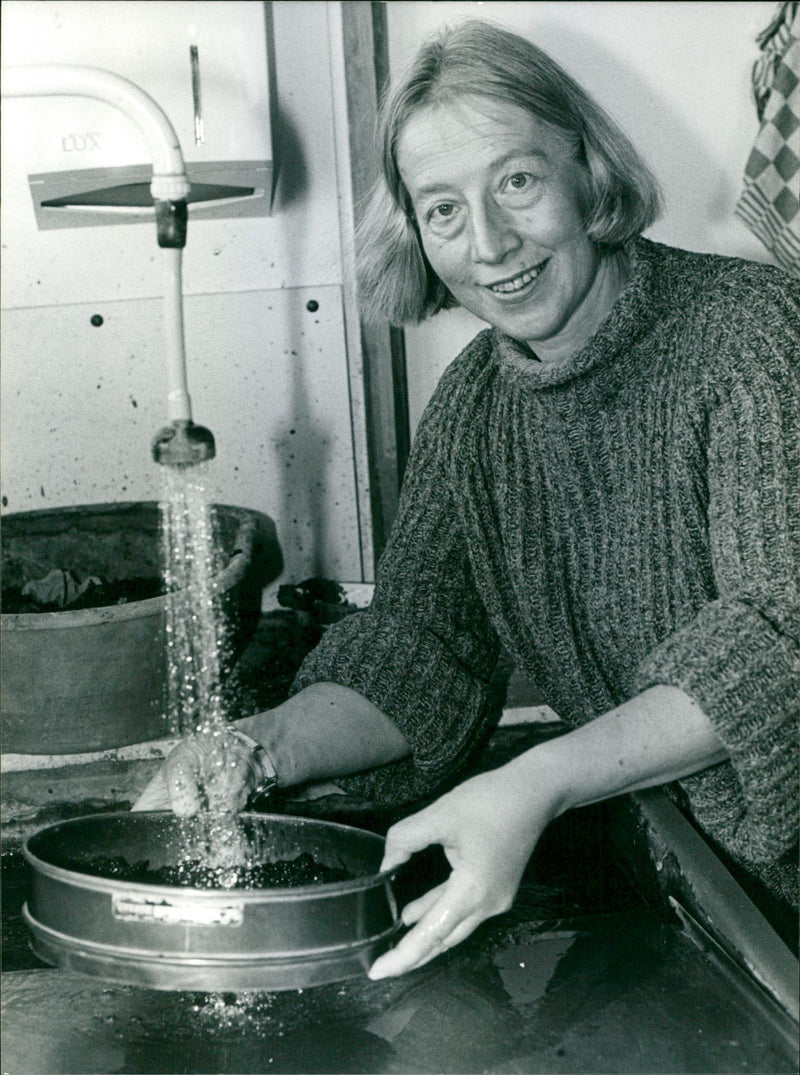 - Vintage Photograph