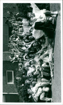 - Vintage Photograph