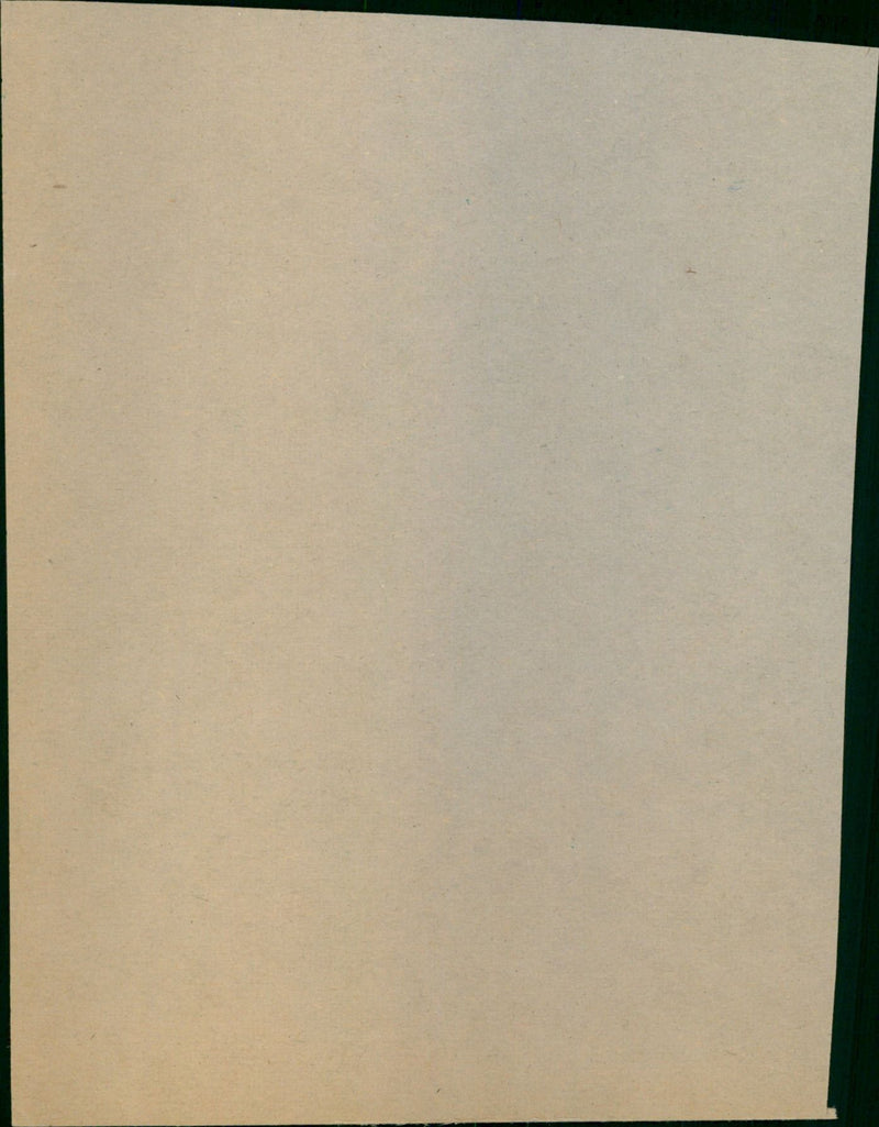 - Vintage Photograph