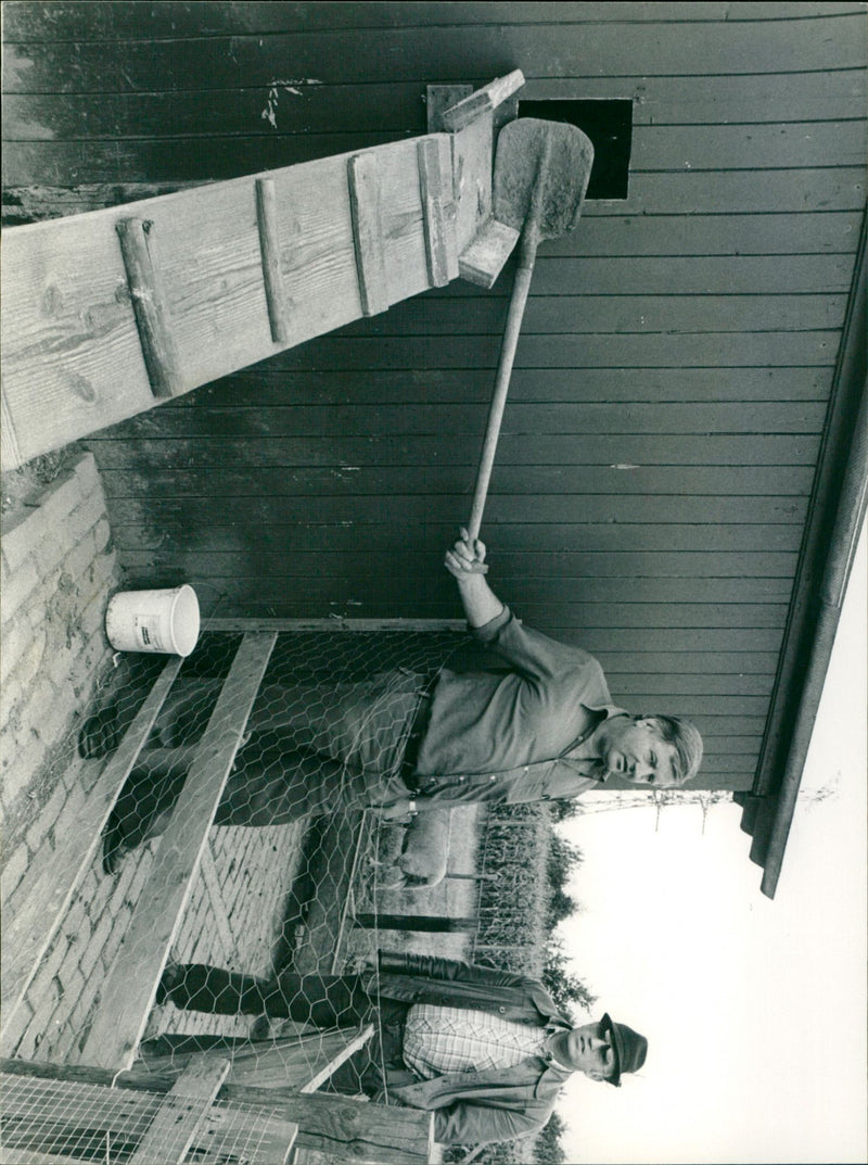 - Vintage Photograph