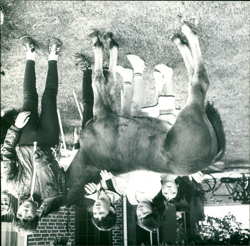 - Vintage Photograph