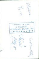 - Vintage Photograph