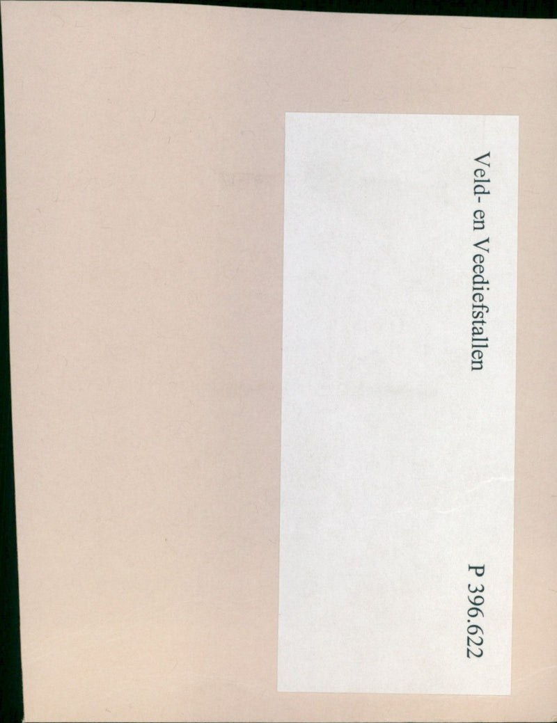 - Vintage Photograph