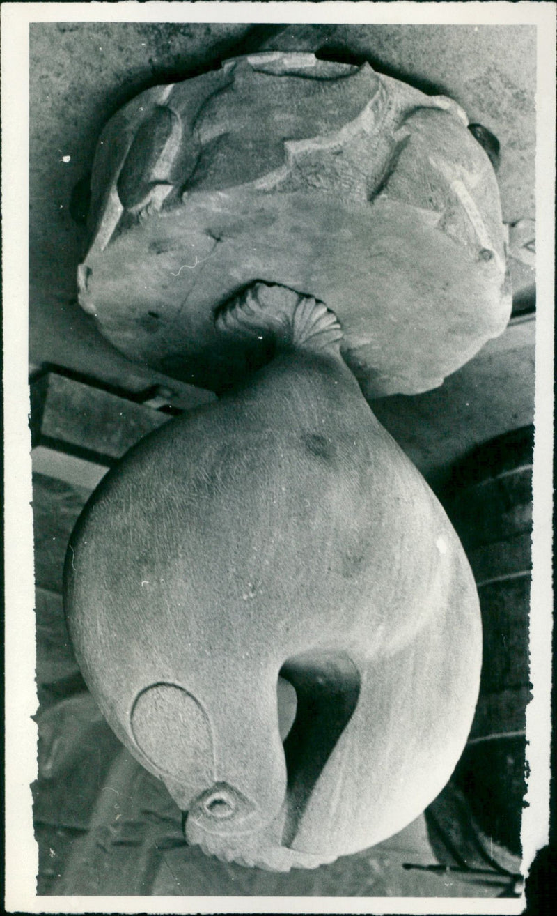 - Vintage Photograph