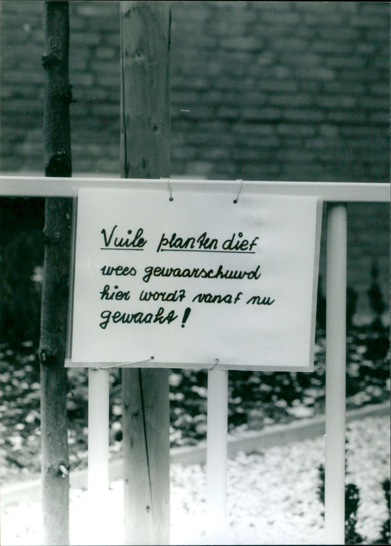 - Vintage Photograph