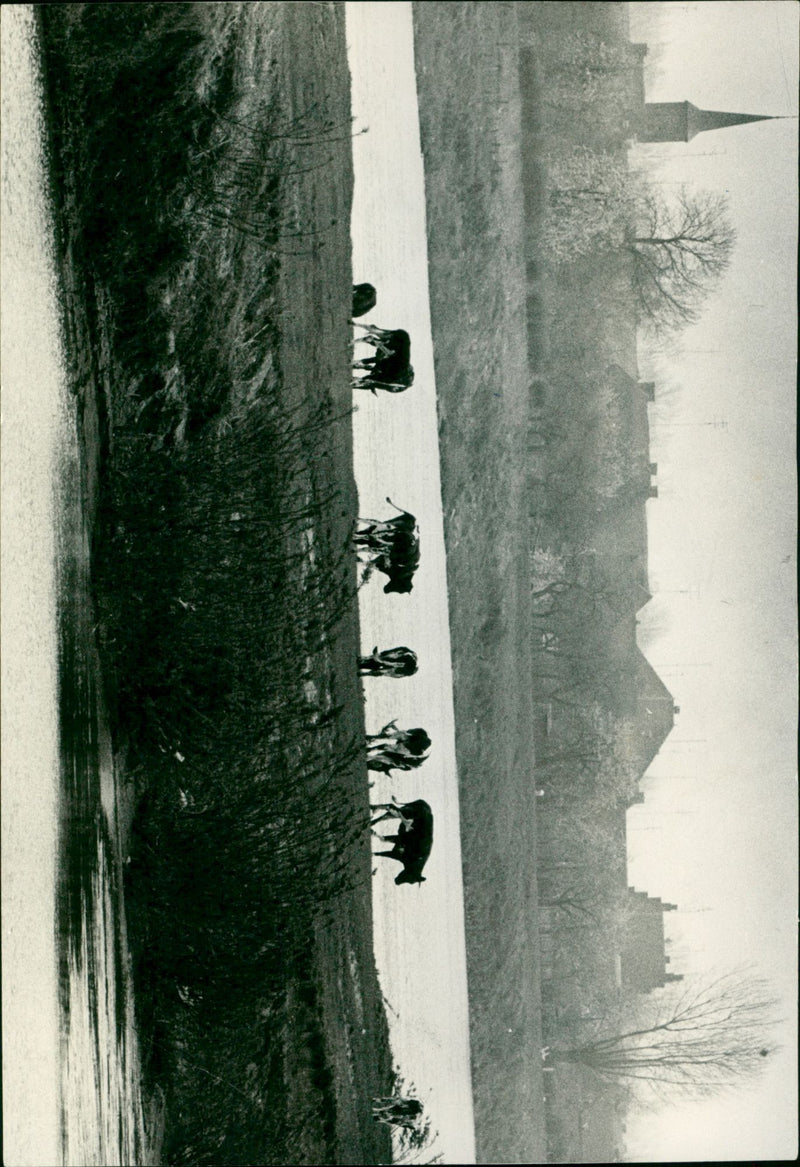 - Vintage Photograph