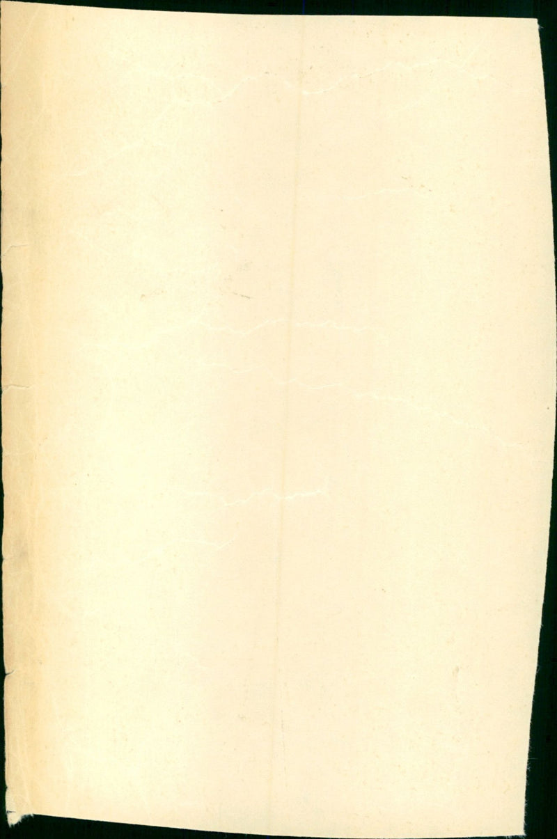 - Vintage Photograph