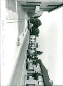 - Vintage Photograph