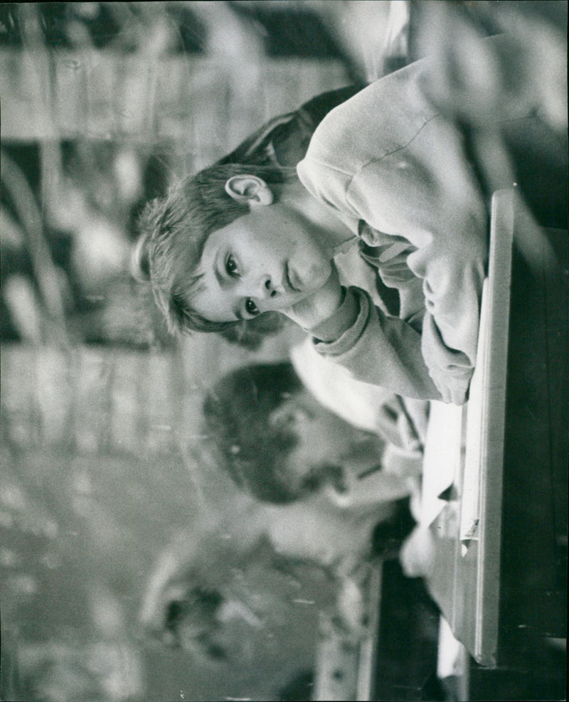 - Vintage Photograph