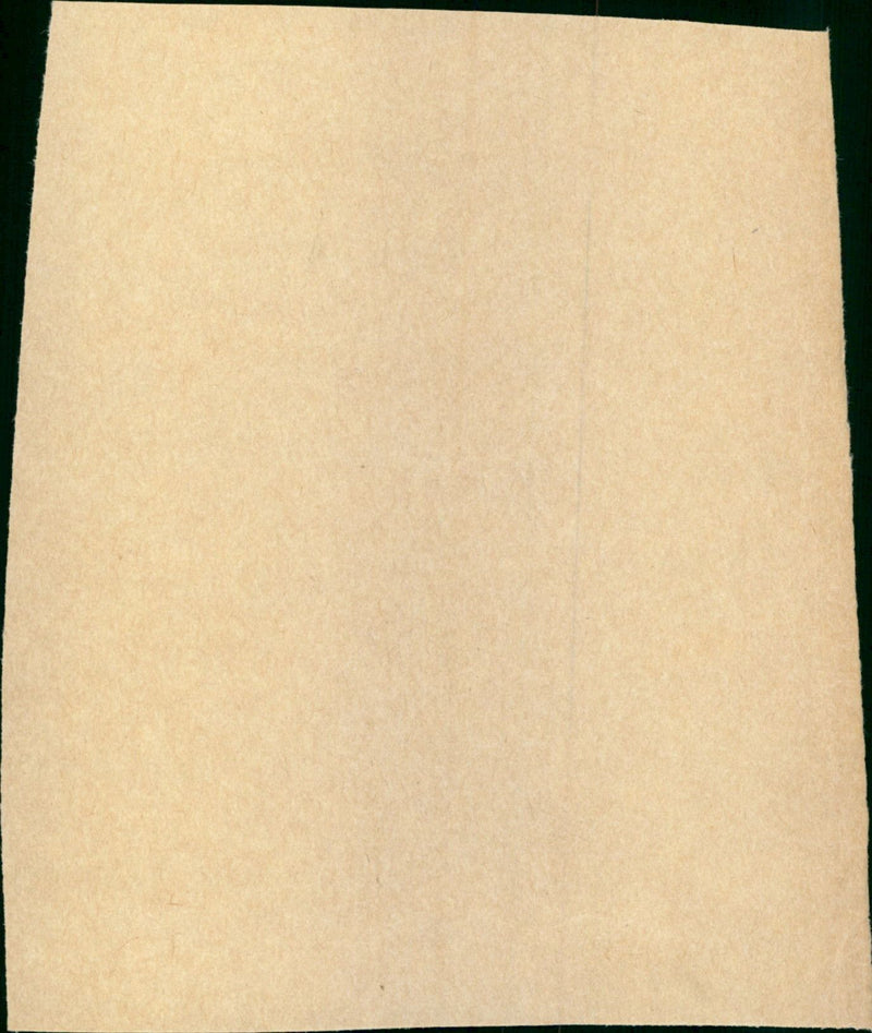 - Vintage Photograph