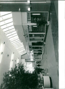 - Vintage Photograph