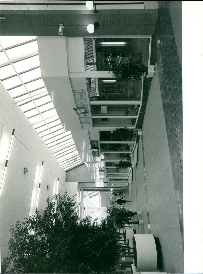 - Vintage Photograph