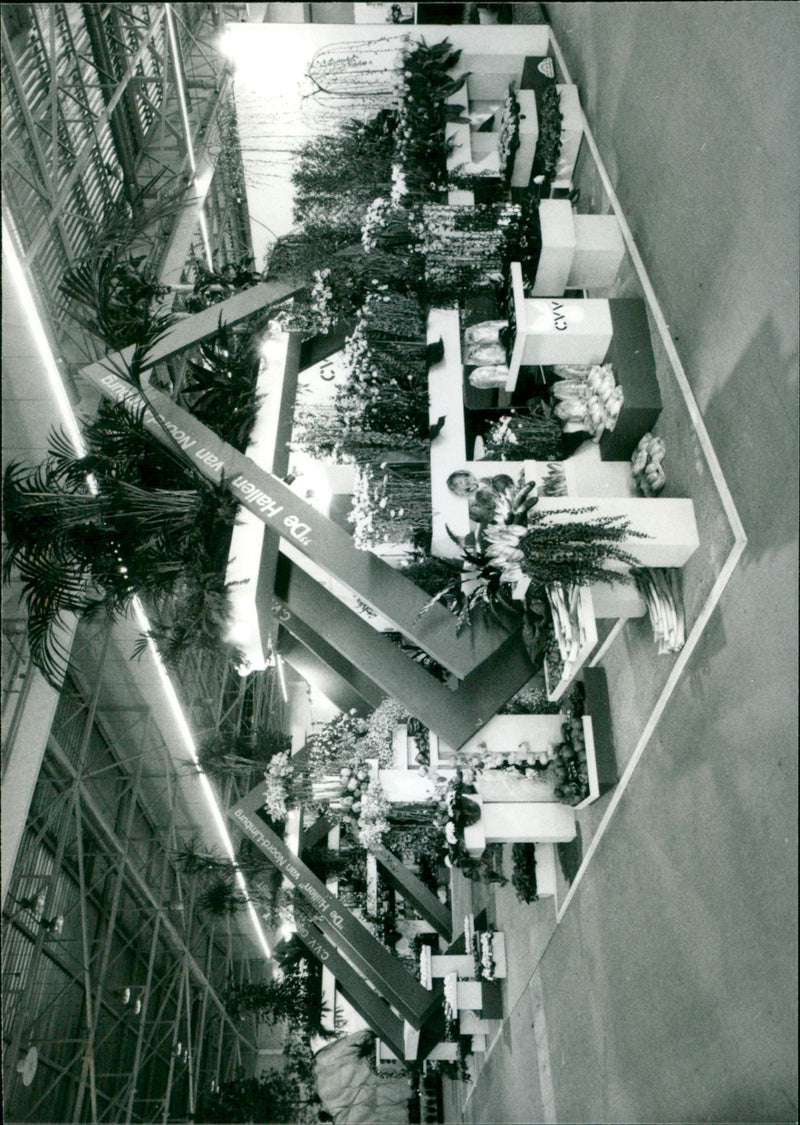 - Vintage Photograph