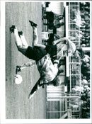 - Vintage Photograph