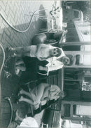 - Vintage Photograph