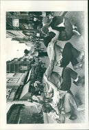 - Vintage Photograph