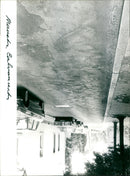 - Vintage Photograph