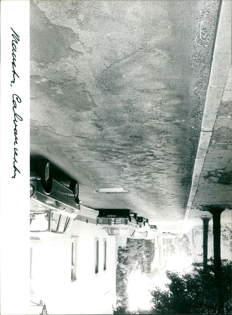 - Vintage Photograph