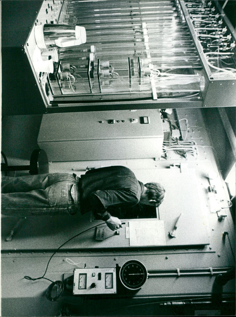 - Vintage Photograph