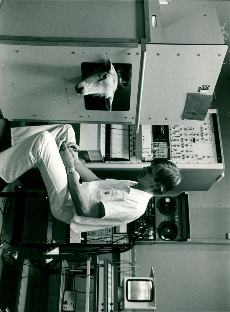 - Vintage Photograph