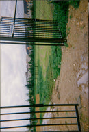 - Vintage Photograph