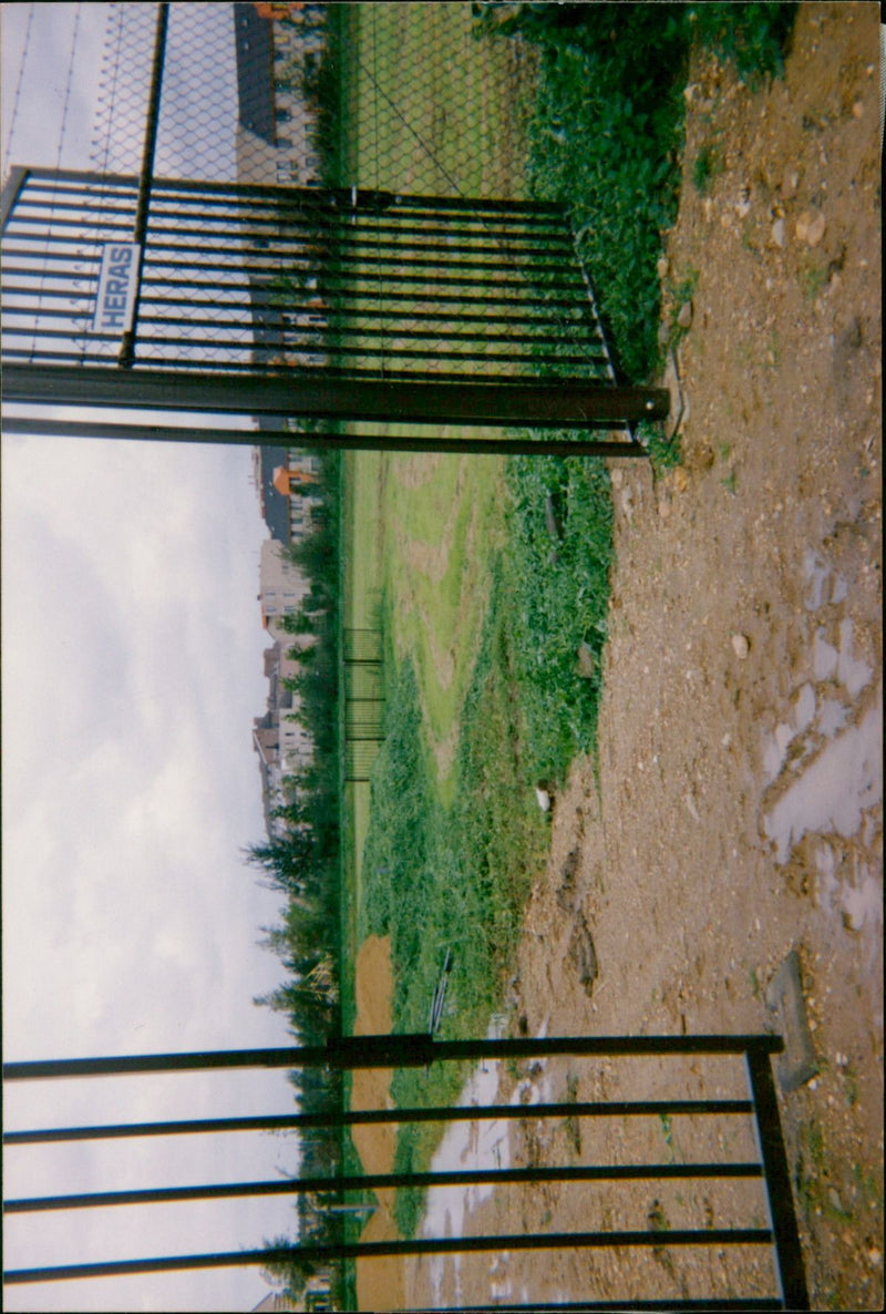 - Vintage Photograph