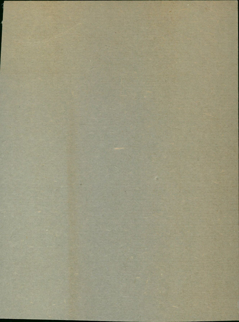 - Vintage Photograph