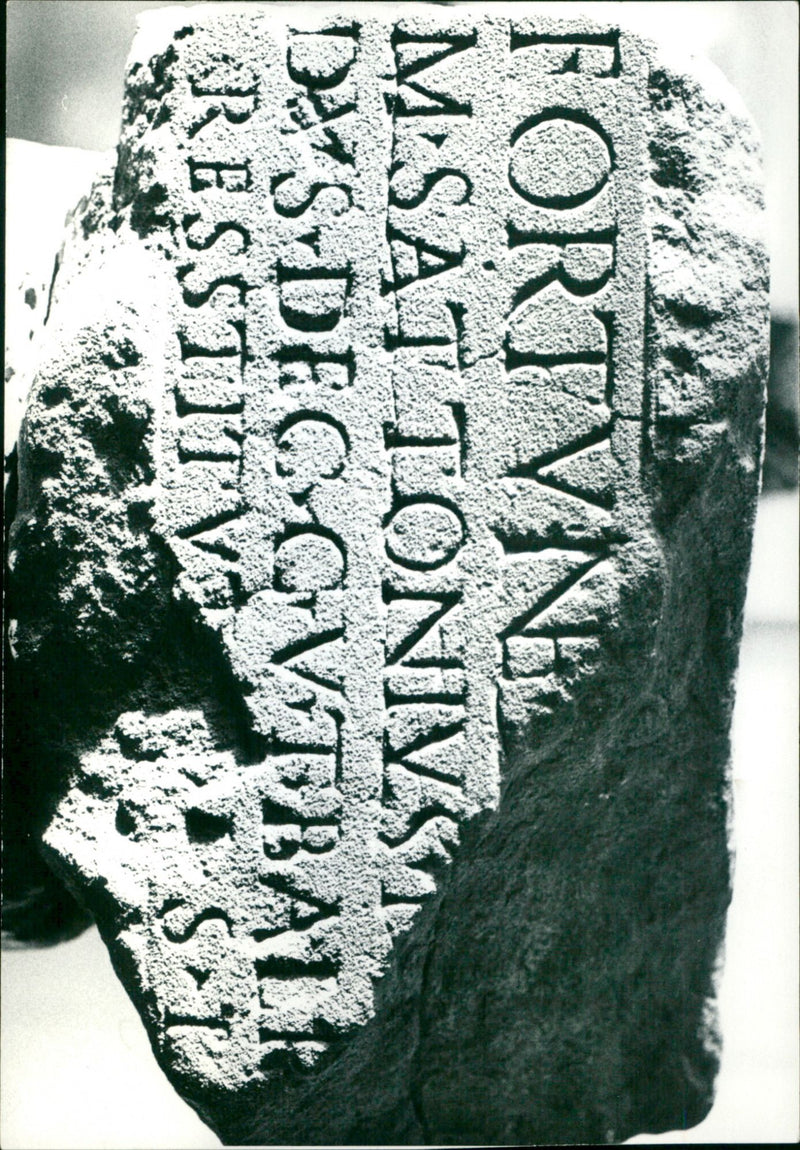 - Vintage Photograph