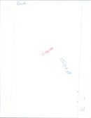 - Vintage Photograph