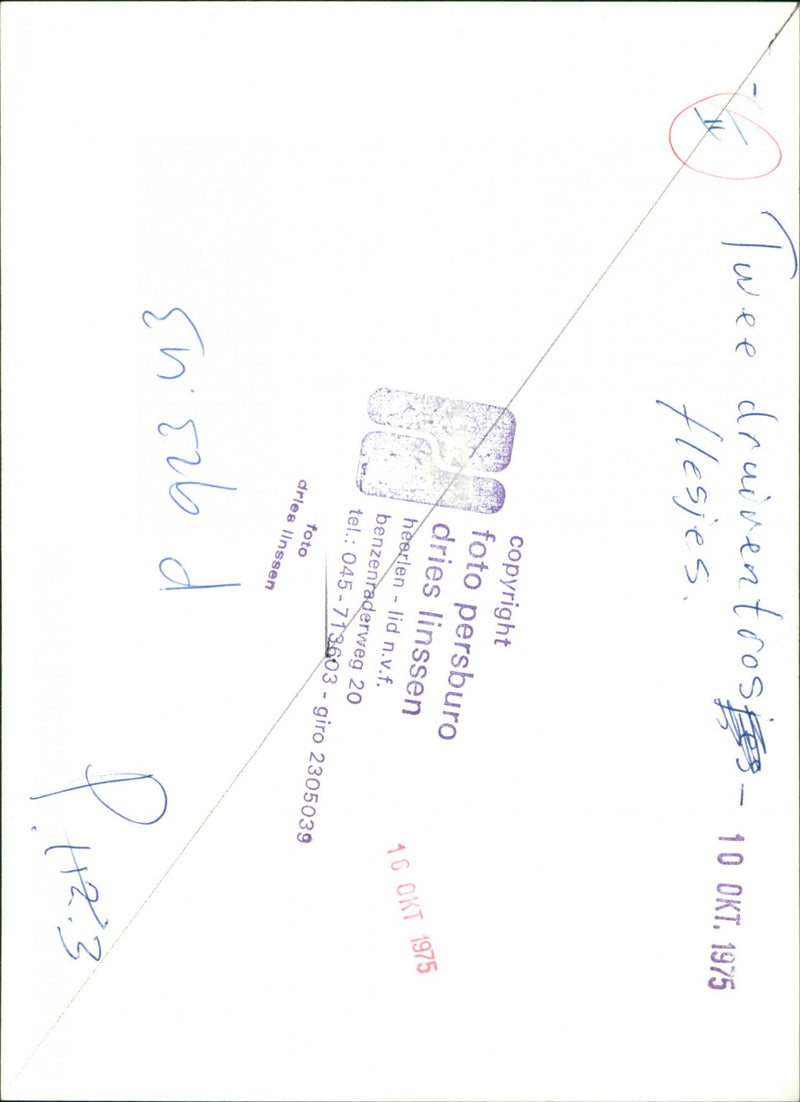 - Vintage Photograph