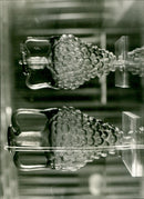 - Vintage Photograph