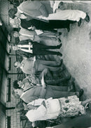 - Vintage Photograph