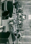 - Vintage Photograph