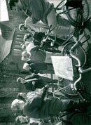 - Vintage Photograph