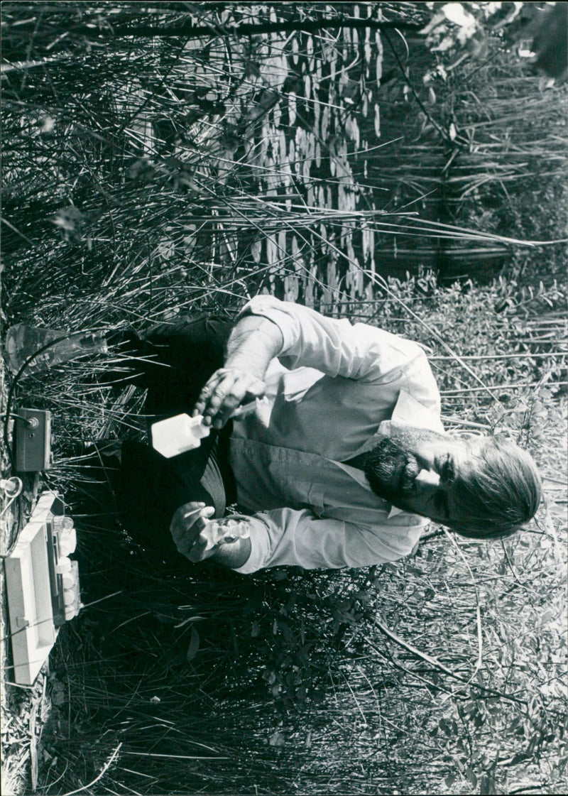 - Vintage Photograph