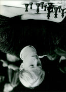 - Vintage Photograph